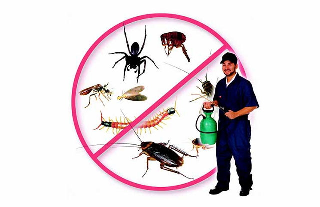 công ty cung cấp dịch vụ diệt côn trùng nào uy tín