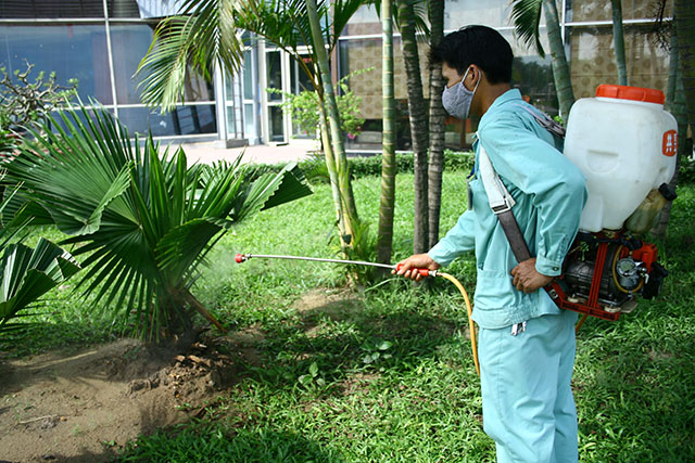 dịch vụ diệt muỗi bằng sinh học
