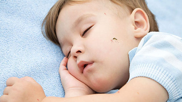 Vì sao nên sử dụng thuốc bôi chống muỗi cho trẻ