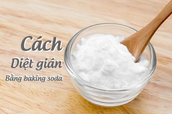 Cách diệt gián bằng baking soda