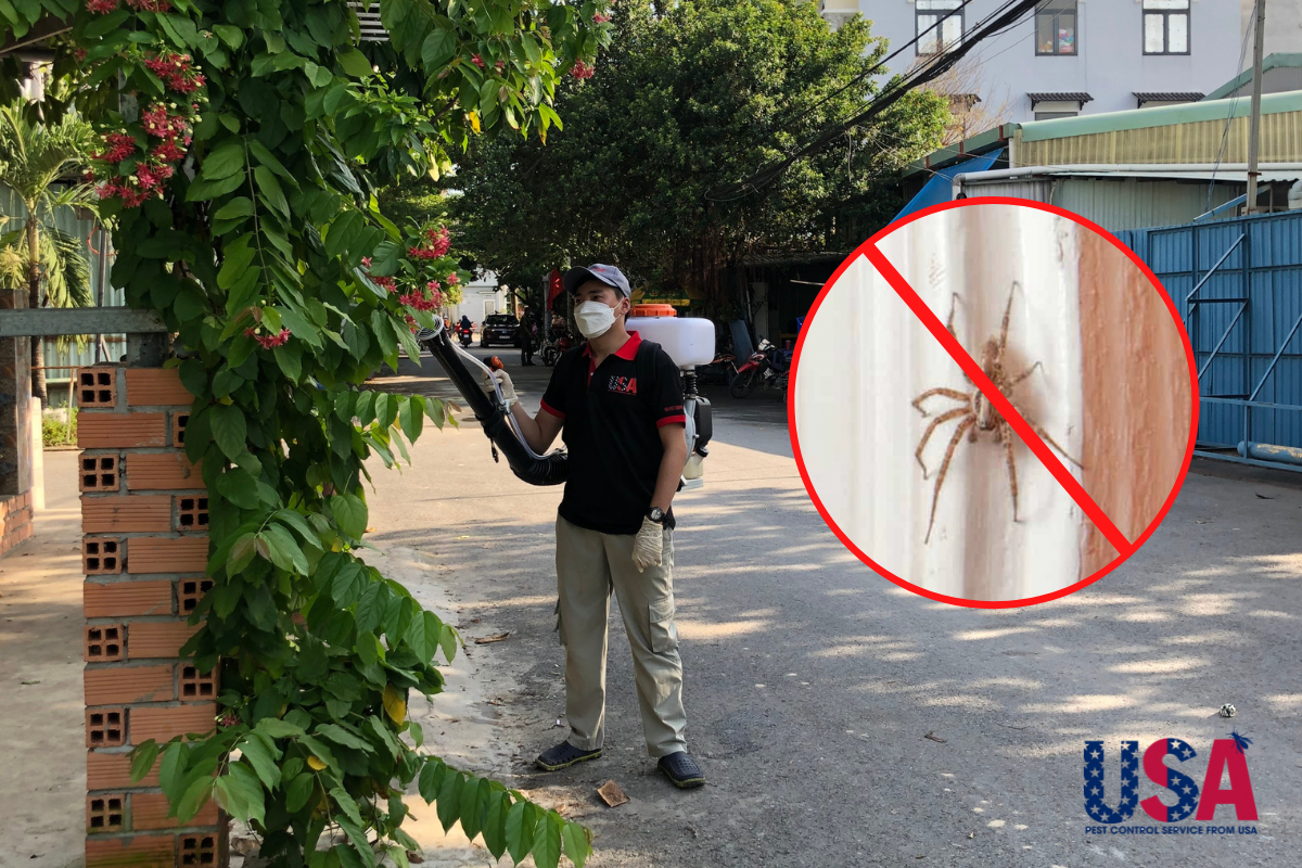 tiêu diệt nhện bằng cách ngăn chúng vào nhà