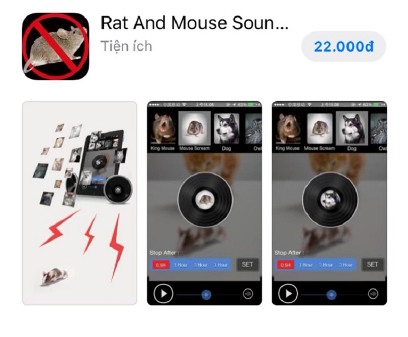 Phần mềm phát âm thanh đuổi chuột Rat And Mouse Sound Reppeller