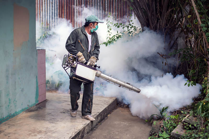 Thuốc diệt côn trùng đảm bảo an toàn với môi trường xung quanh