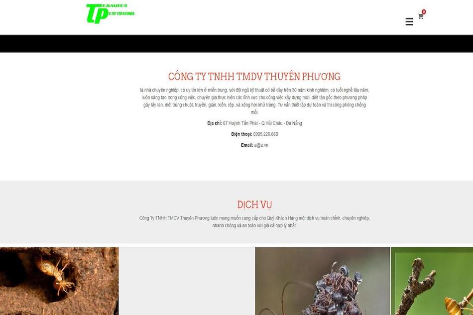 Công ty TNHH TMDV Thuyên Phương – Địa chỉ diệt côn trùng an toàn, nhanh chóng, chuyên nghiệp