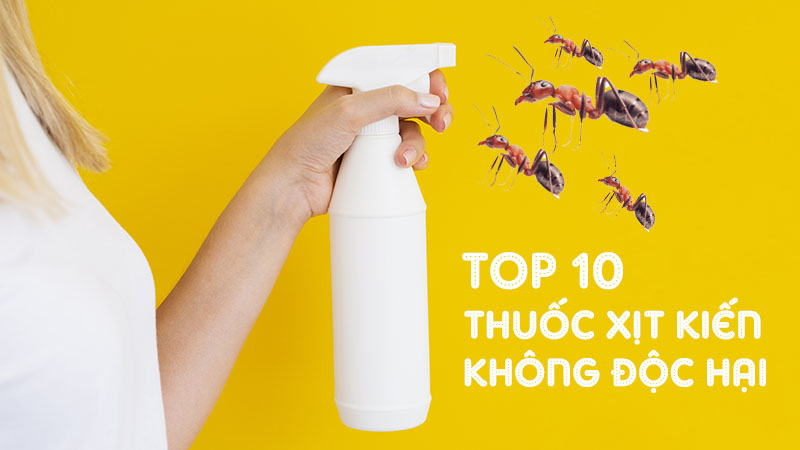 TOP 10 thuốc xịt kiến không độc hại hiệu quả và an toàn