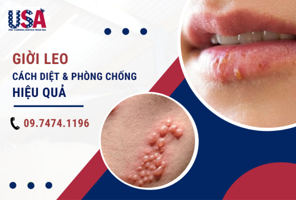 Cách diệt con dời leo