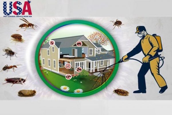 USA Pest Control cung cấp nhiều dịch vụ phòng chống mối công trình