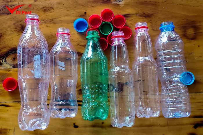 Cách diệt ruồi vàng bằng chai nhựa
