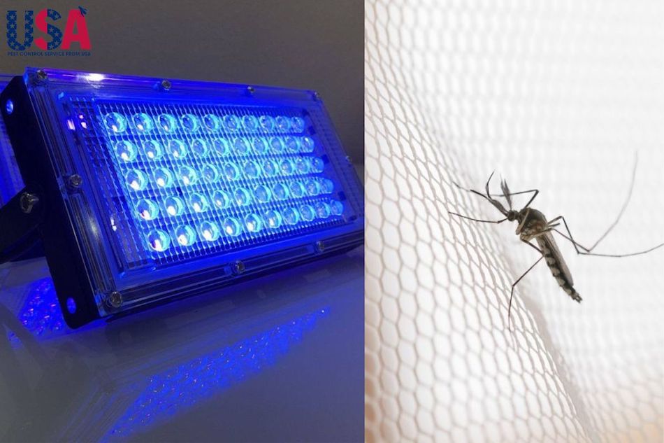 Đèn bắt muỗi có cấu tạo gồm 2 phần là đèn màu và tiêu diệt muỗi