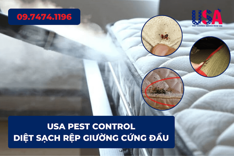 Công ty diệt côn trùng Hoa Kỳ (Mỹ) - Diệt rệp giường tận gốc, nhanh gọn