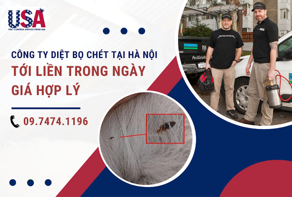 Dịch vụ diệt bọ chét tại Hà Nội