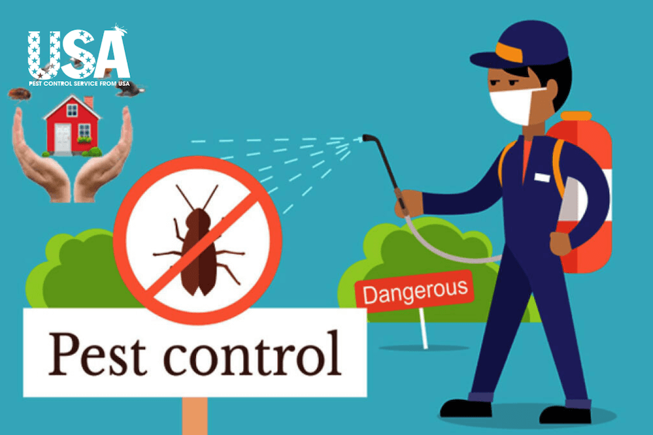 Các phương pháp kiểm soát côn trùng hiệu quả