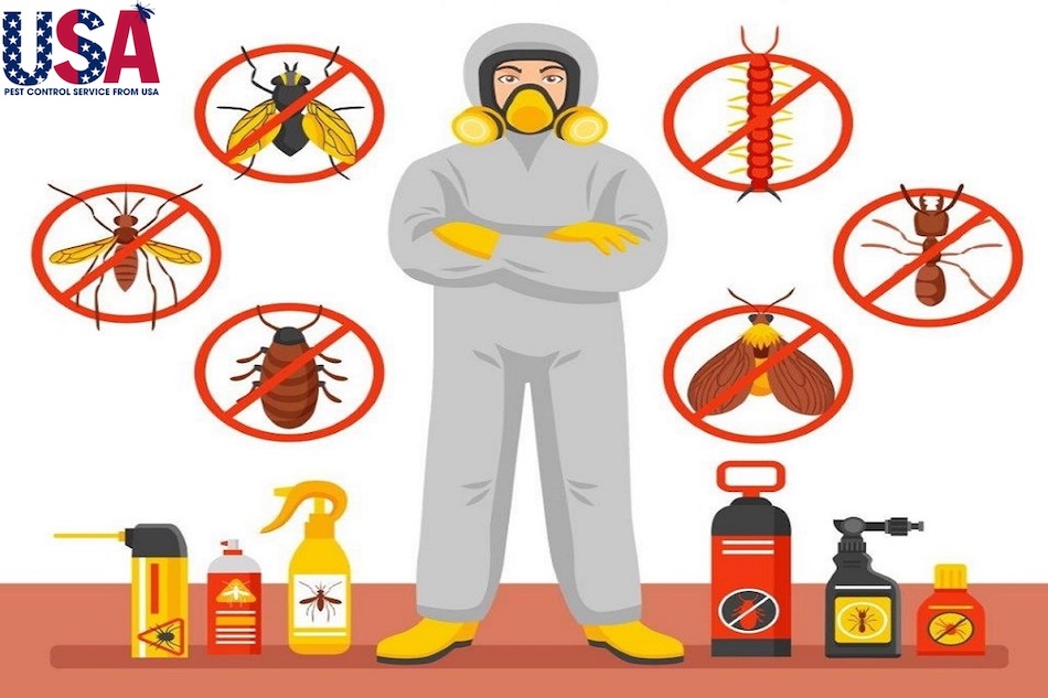 USA Pest Control có dịch vụ diệt kiến tại Hà Nội chuyên nghiệp