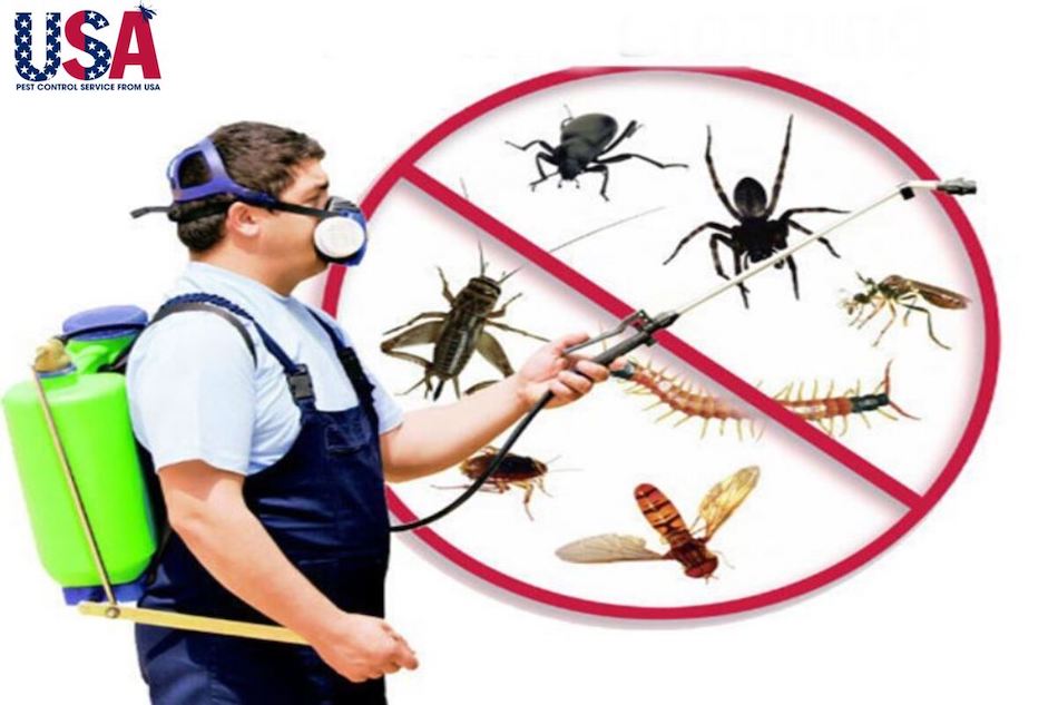 Kiểm soát côn trùng bằng phương pháp dịch hại hóa học để mang đến hiệu quả cao