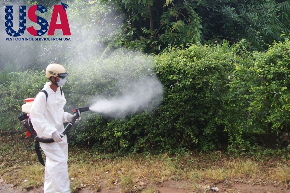 USA Pest Control có năng lực diệt côn trùng hiệu quả, kinh nghiệm lên đến hàng chục năm