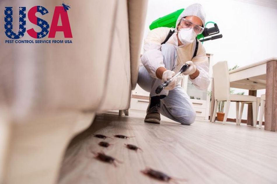 Công ty dịch vụ diệt côn trùng Hoa Kỳ (Mỹ) cung cấp nhiều sản phẩm chất lượng