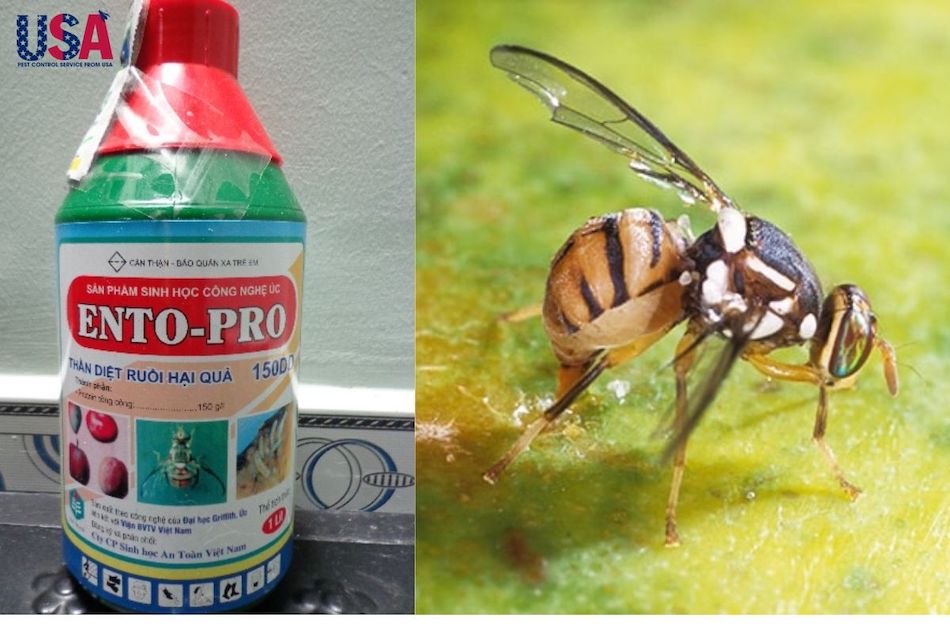 Thuốc diệt ruồi Ento-Pro
