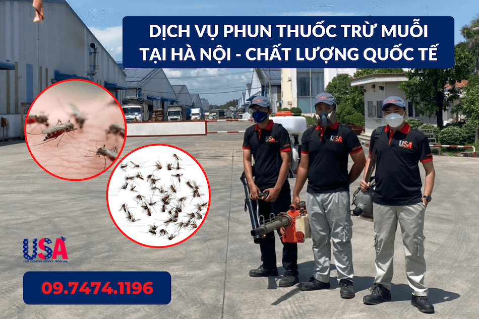 Phun thuốc diệt muỗi tại Hà Nội