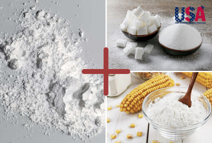 Cách diệt mối hiệu quả với hàn the và đường, bột bắp