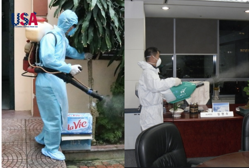 Gói dịch vụ phun thuốc trừ muỗi tại TPHCM áp dụng cho các công trình lớn