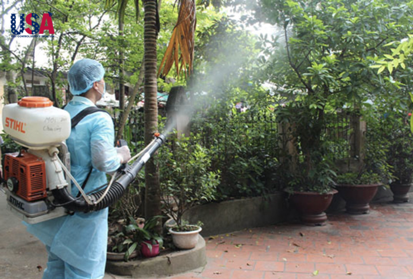 Phun thuốc diệt kiến trên cây cho nhà anh Toàn tại Đồng