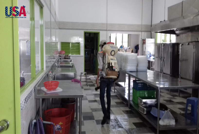 Dịch vụ diệt kiến cho cơ sở sản xuất chả lụa ở Kiên Giang