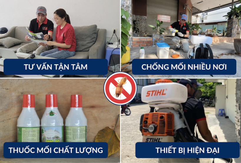 Công ty diệt mối quận Bình Tân USA Pest Control uy tín