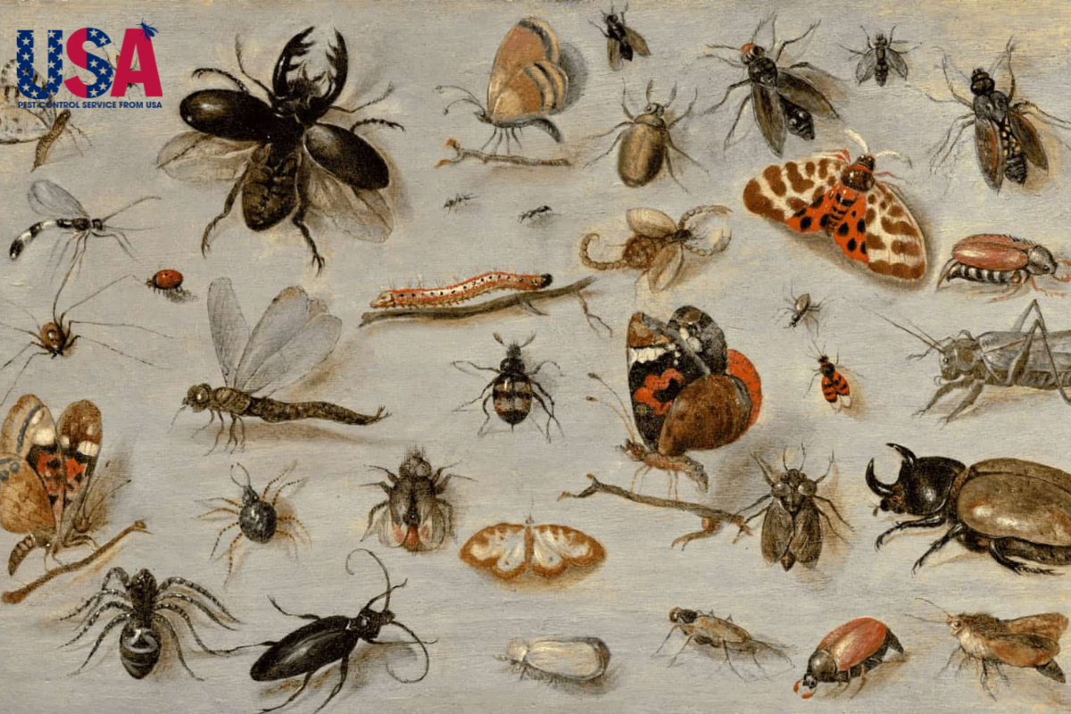 các loại côn trùng thường gặp trong nhà