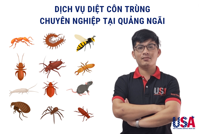 diệt côn trùng quảng ngãi