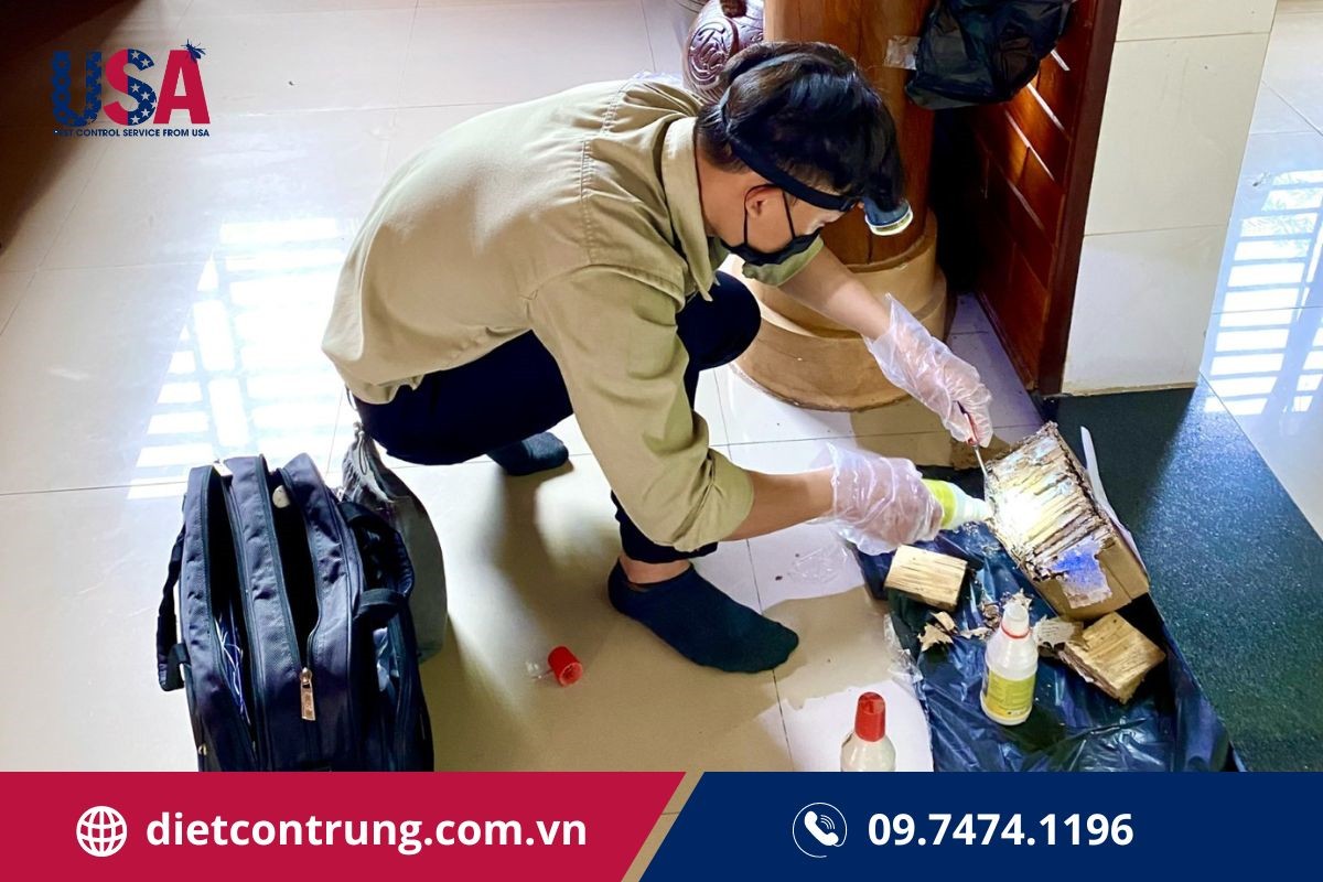 Hình ảnh diệt mối thực tế nhà anh Hoàng do USA Pest Control thực hiện