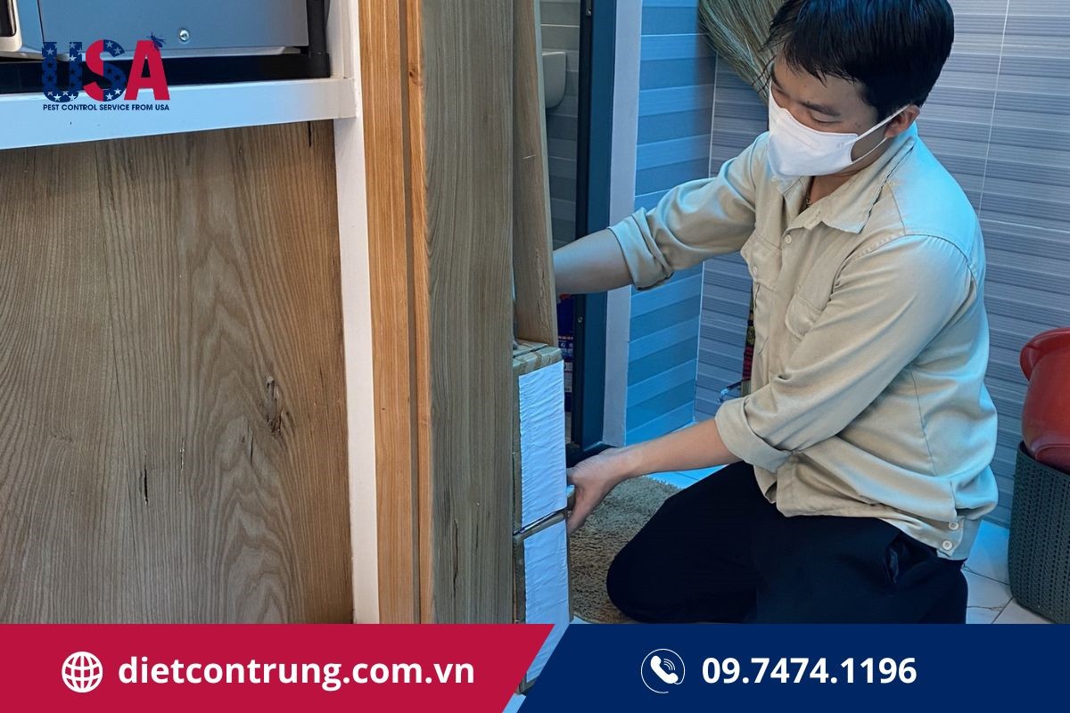 Những hình ảnh diệt mối nhà hàng Hầm Rượu do USA Pest Control thực hiện