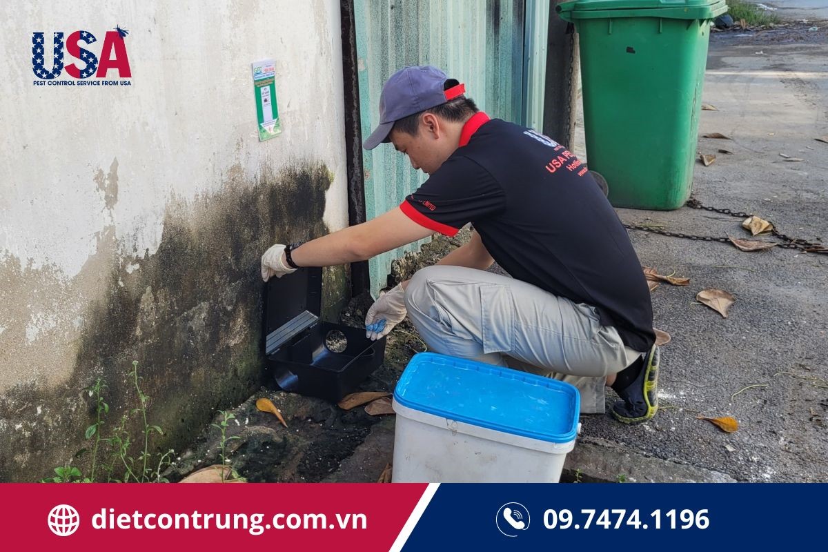 Hình ảnh diệt mối nhà chị Mến do USA Pest Control thực hiện